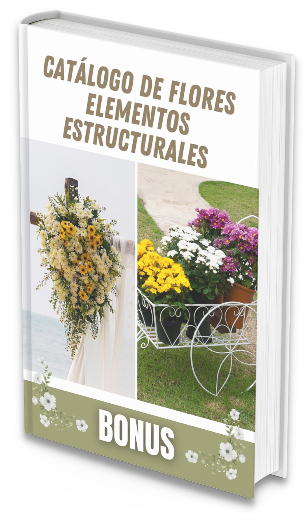 Domina el arte floral bonos gratis 2